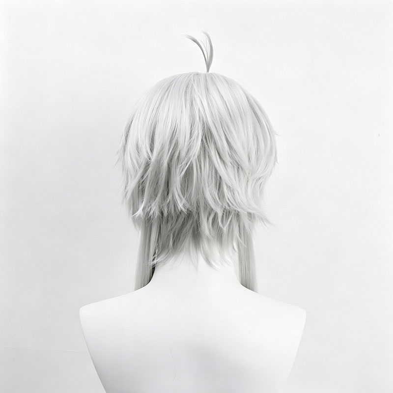 Anime Sylphiette Cosplay Wig G - Men Accessories Earrings review and price